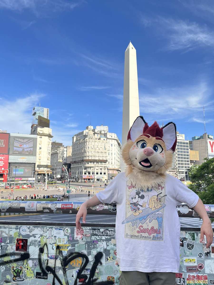 I totally did NOT miss #FursuitFriday 🤣 greetings from sunny Buenos Aires 🙏
