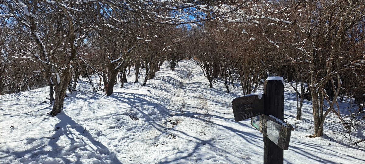 keromoon92's tweet photo. 石割山、平尾山縦走！　雪があるとまた違う！ https://t.co/Aww39Vz6AX