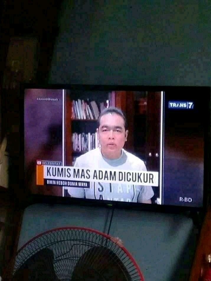 wilonaaa's tweet image. 