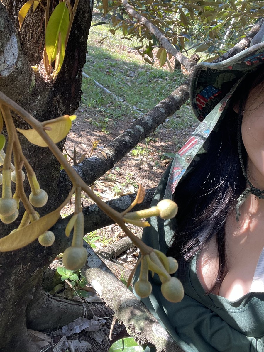 เสื้อปุ๋ยเธอชอบไหม #สวนทุเรียน