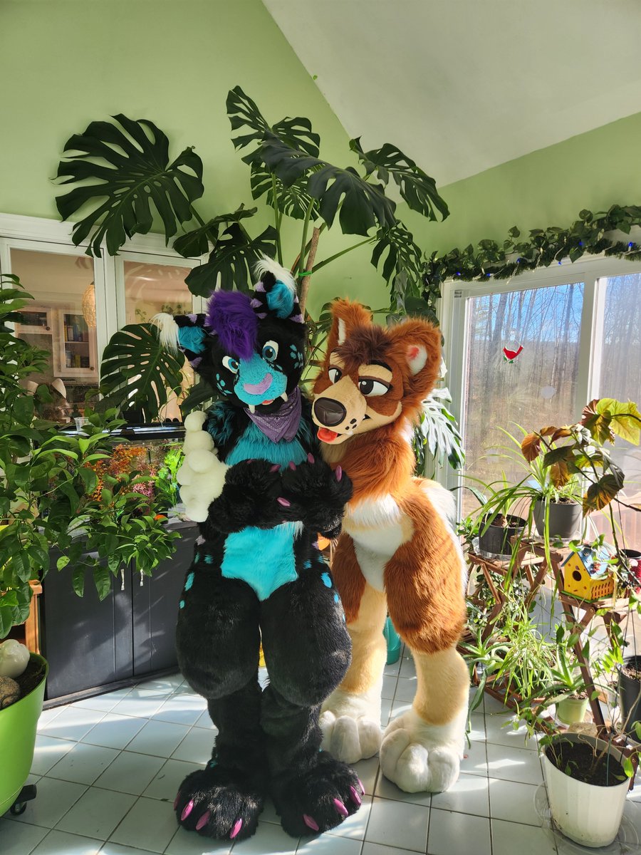 🌸Sora🌸 tweet media