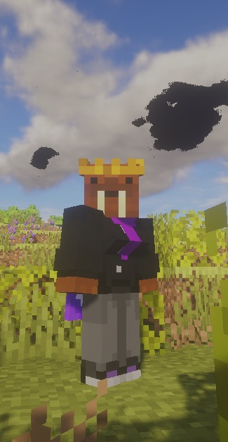 Mañana volvemos a Minecraft y al streaming
y para promocionarlo, Niapo con Tetas