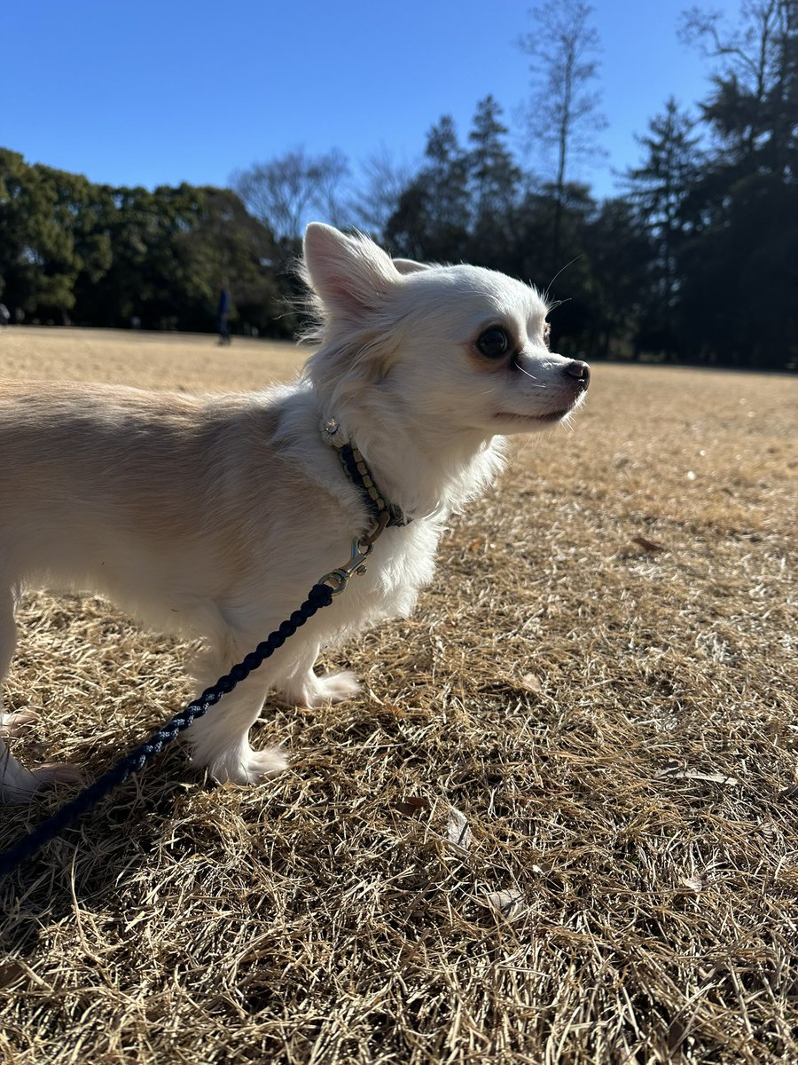 今日は航空公園へ！