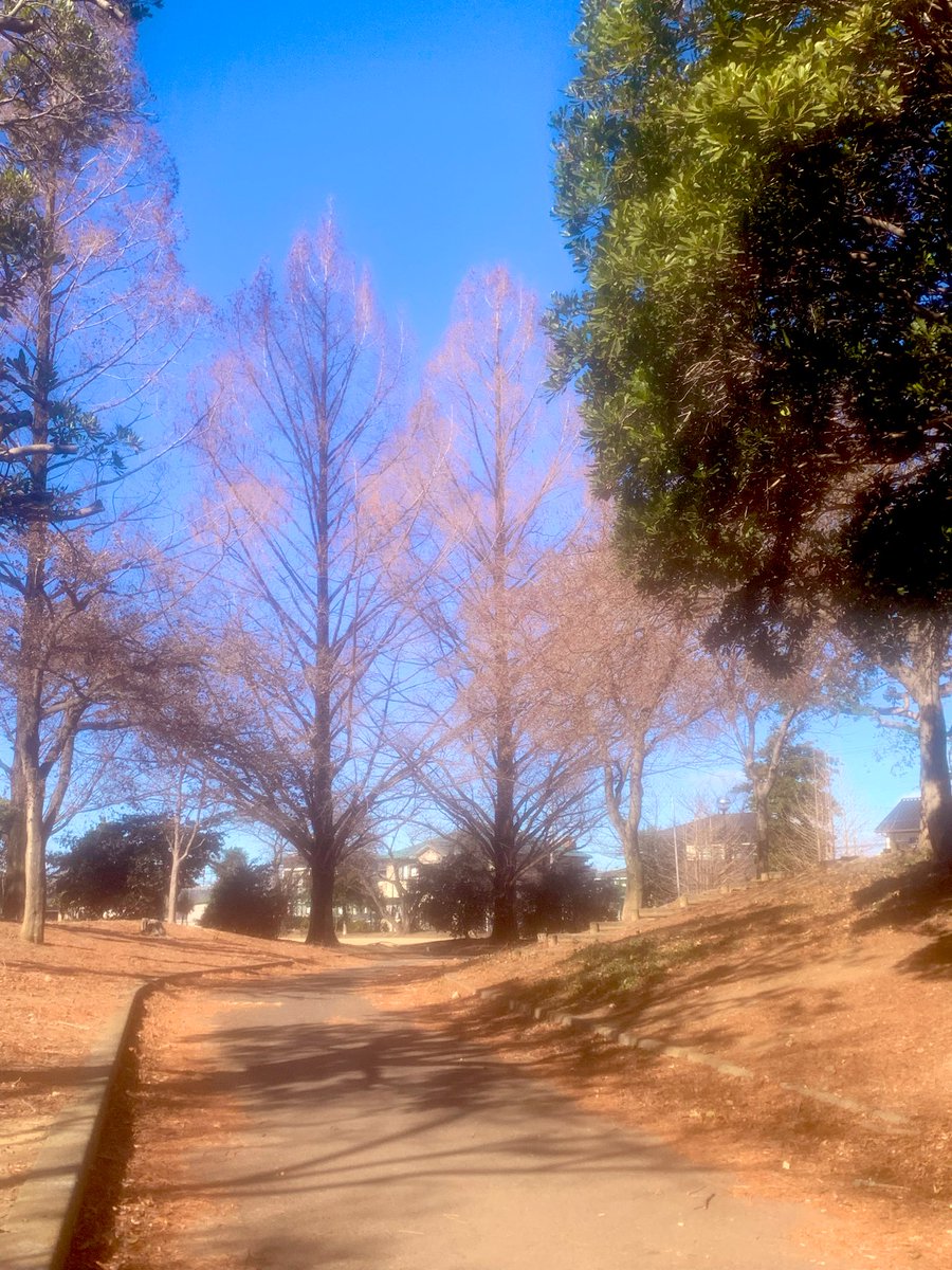 明けましておめでとうございます

本年もどうぞよろしくお願い致します　　　　
　　　　　アマーティスタッフ一同
本日は風は冷たいですが穏やかな☀️であります