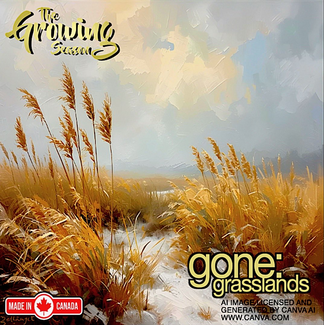 Grasslands are a very threatened biome. They prevent soil erosion, and are a family to important foods and useful building materials.  Join the Growing Season for their Gone Grasslands Show on January 3 and 4 at 10:00am  @Sauga960am.  Enjoy!  growingseasoncanada.com