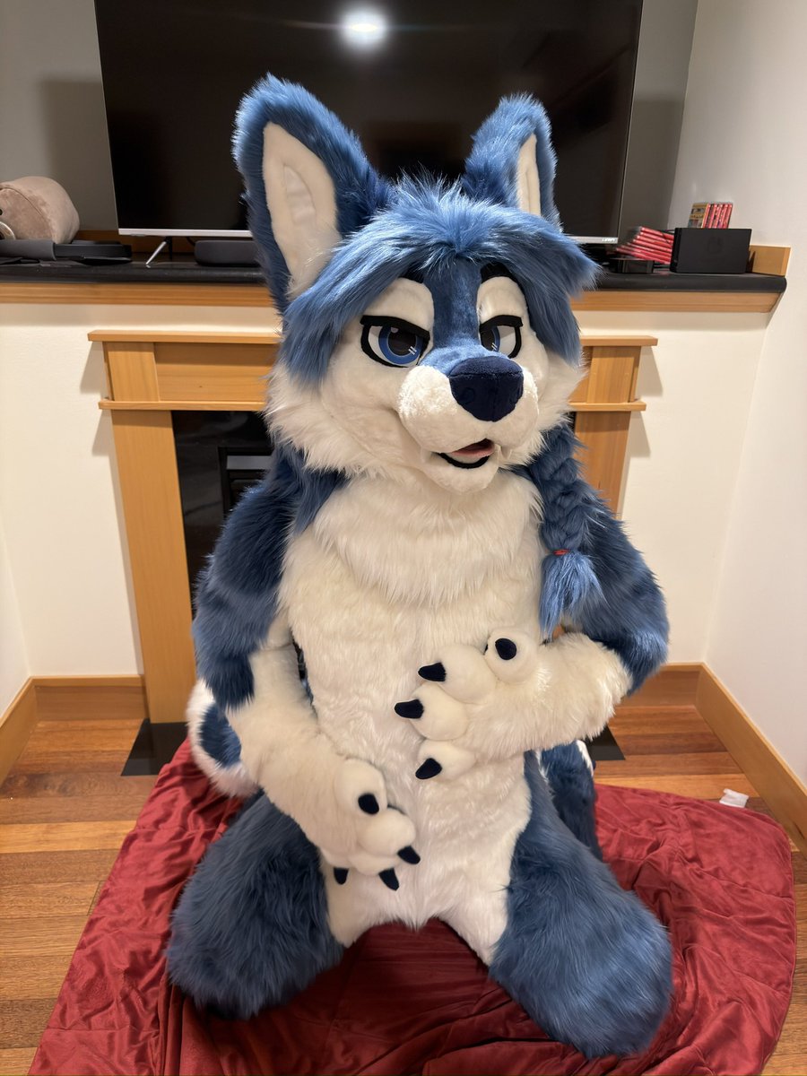 Mfw the Korean bbq comes to the table 

#FursuitFriday