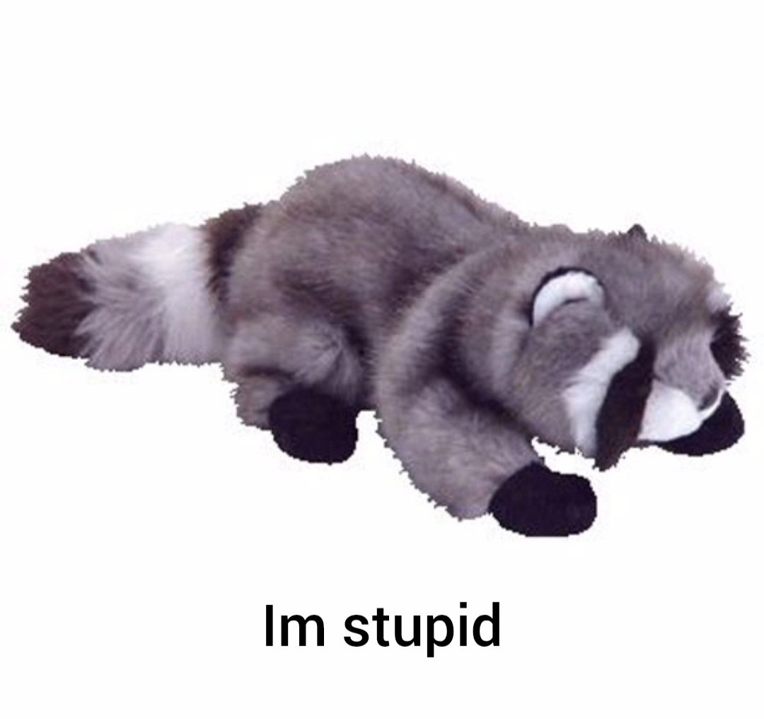 Why you should have a Raccoon tweet media