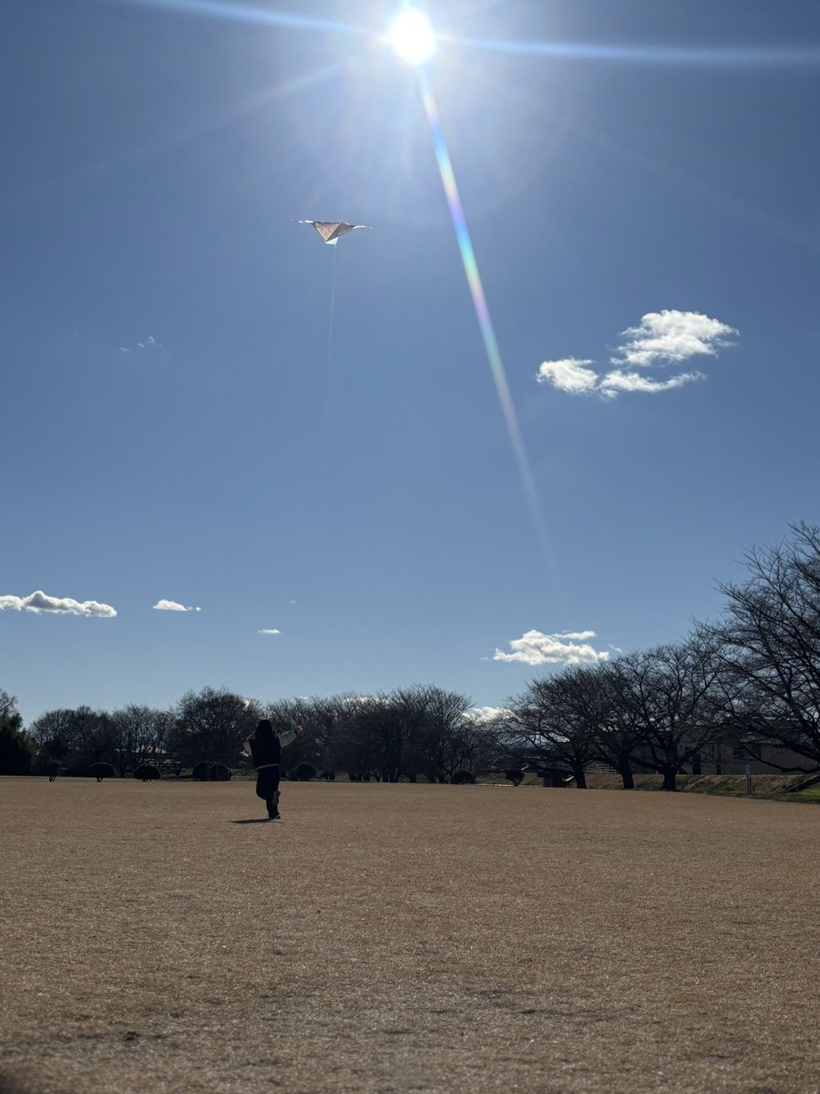 sannintoiro39's tweet image. お正月だから凧揚げ🪁