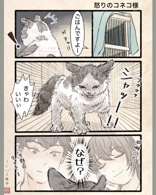ネコの本。2巻まとめッーーー!!
01 