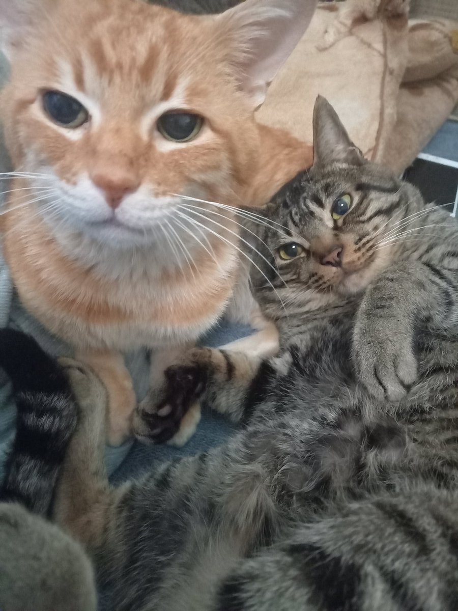 ←ガヤ担当
                               接客担当→