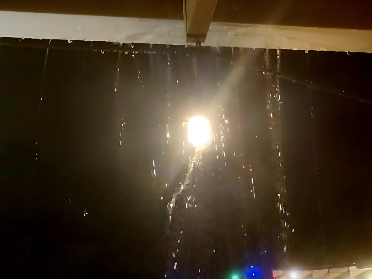 DeplorableMe tweet media