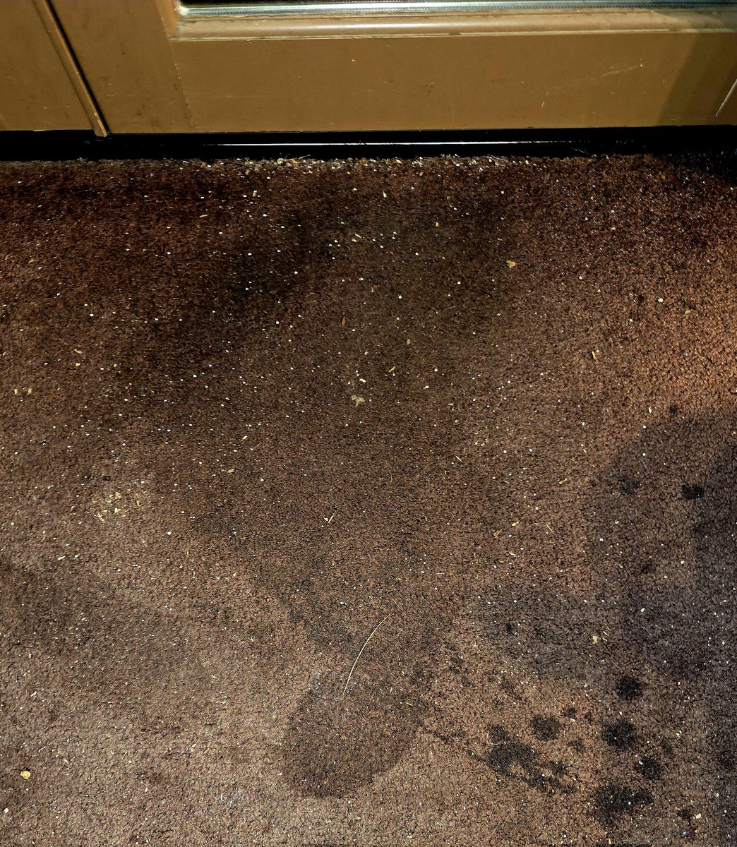 DeplorableMe tweet media