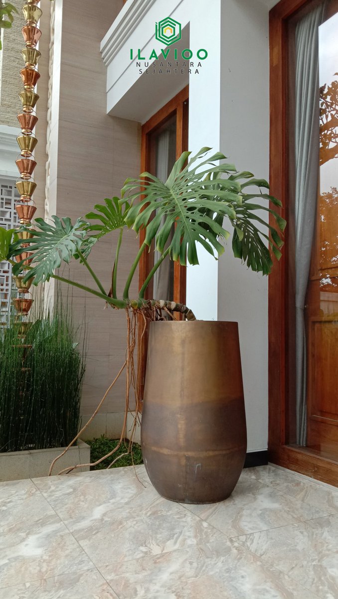 ilavioo's tweet photo. Each curve is shaped by hand, making every piece truly one of a kind —
perfect for luxury interiors, hotels, and statement spaces.
✨ Custom design &amp; size available
📦 Export-ready worldwide
DM us for quotation 
#CopperVase #HandmadeCopper #ArtisanCraft #LuxuryHomeDecor https://t.co/Ivu5hjL0NN