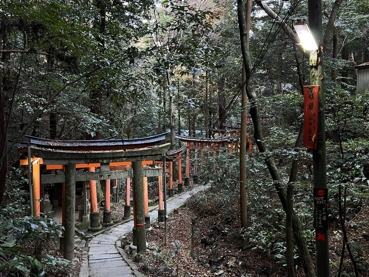 Lily! ✿ tweet media