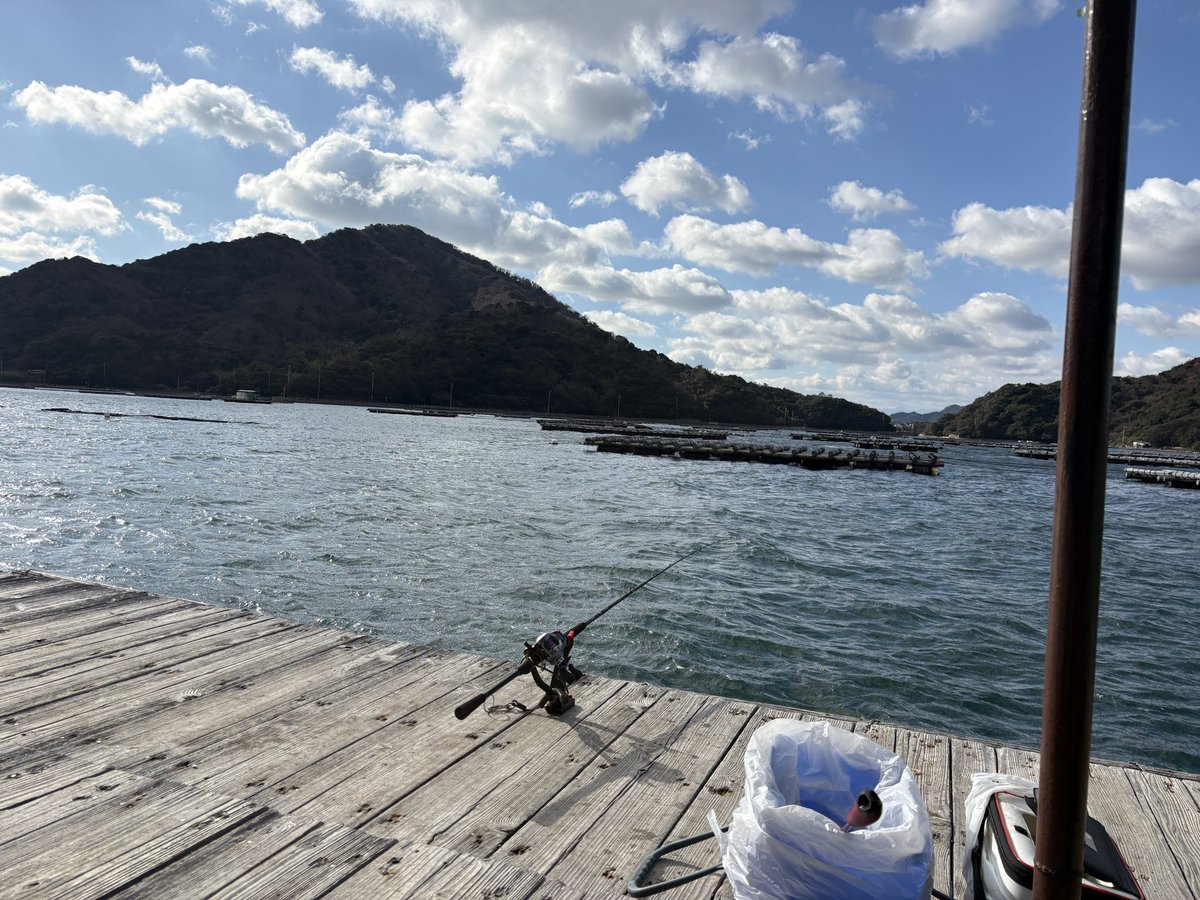 yanakenman's tweet photo. 真鯛とヒラメどこにおんねん🐟
ノマセのアジは入れ食いやのに🐠 https://t.co/grzZ6JuLf8