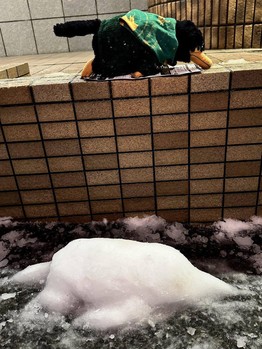 あけましておめでとうございます🎍
今年もよろしくお願いします🪄

雪でホワイトニフラー作りました❄️