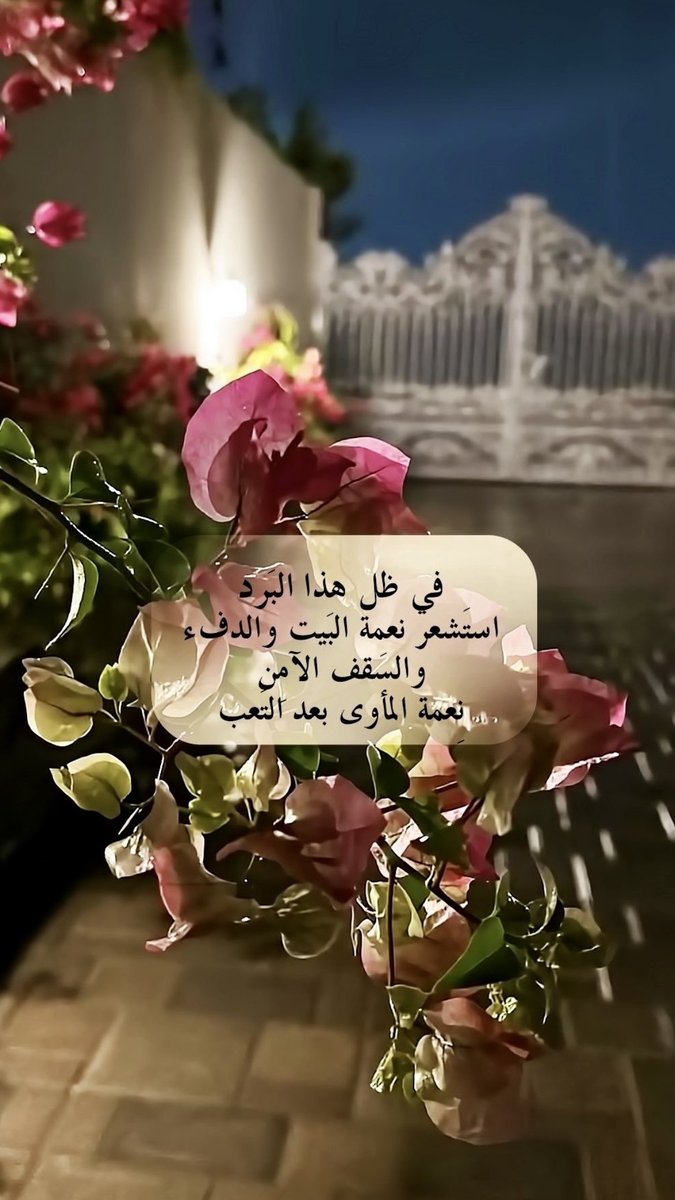 تميميه🦋 tweet media