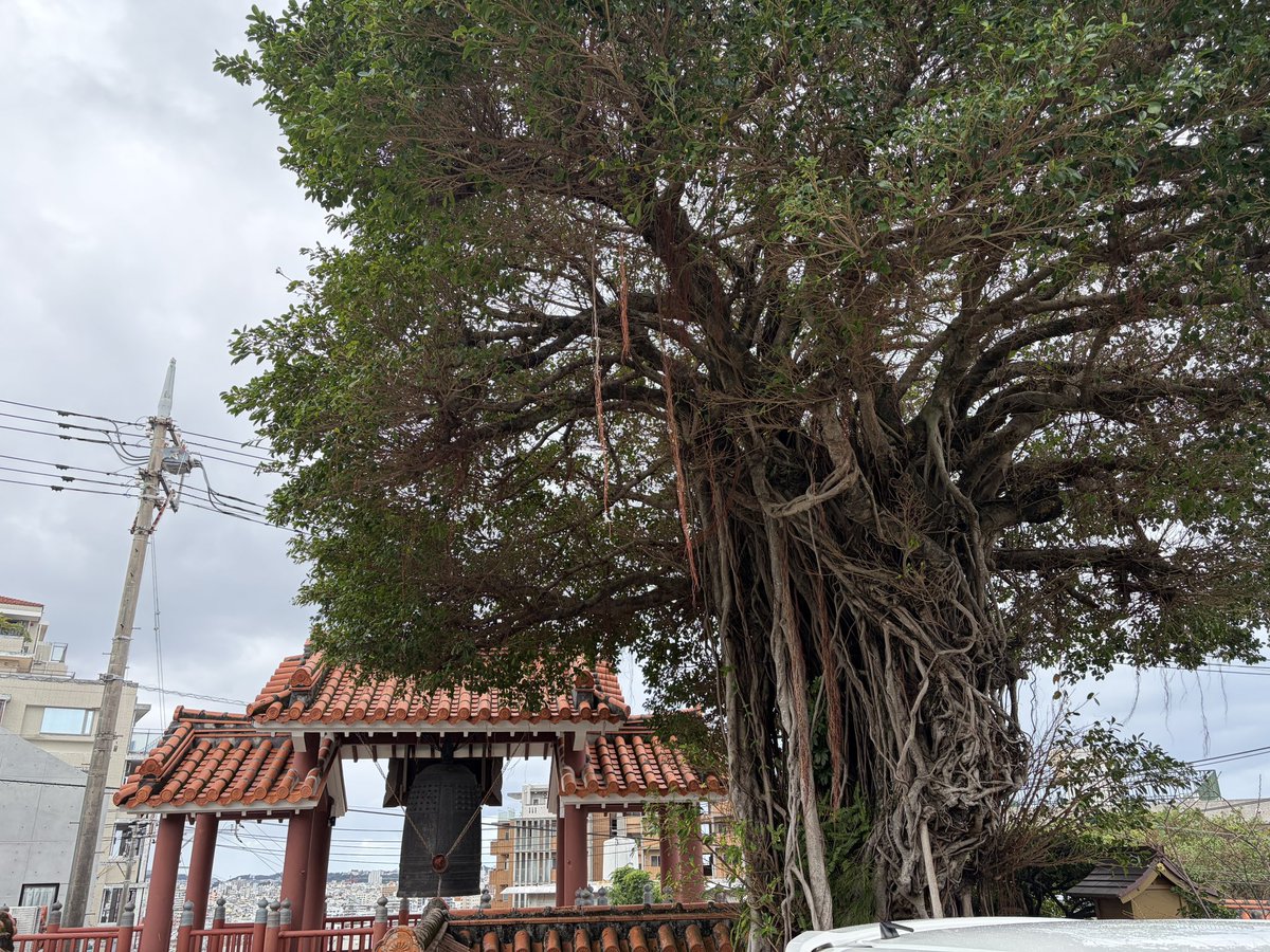 nobuting's tweet image. 今日は慈眼院首里観音堂で2回目の初詣。屋台とかはないけど、かなりの混雑。
駐車場は行列。那覇市内では山の上なので景色も良かった。