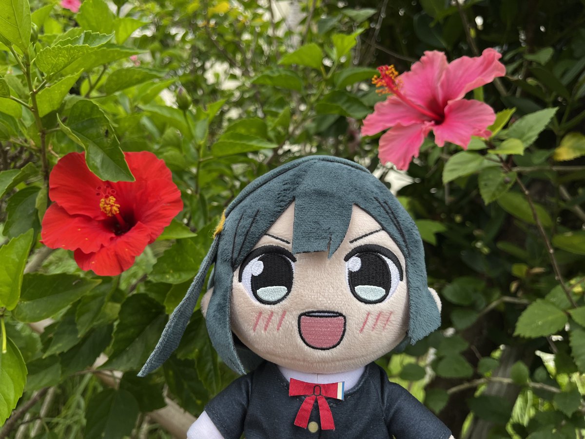 NBrosta's tweet photo. #ぬいぐるみは仲間で家族 https://t.co/K7FvwviAiN