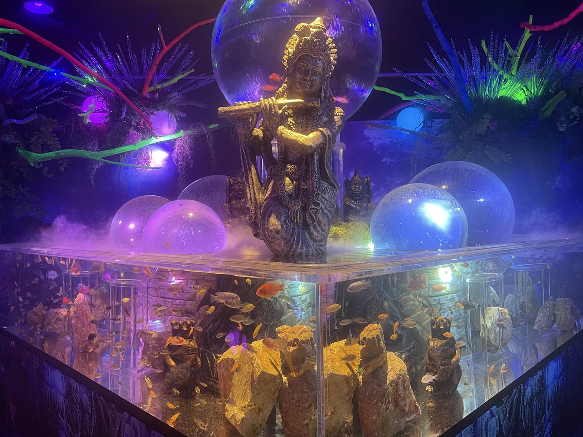 dffmst's tweet image. 展示の仕方良き