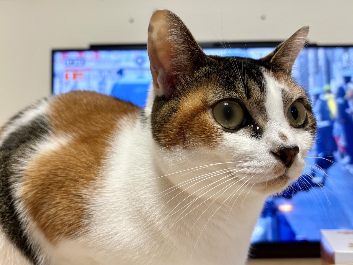 ねぇさん、ちょっと、駅伝見えないです。