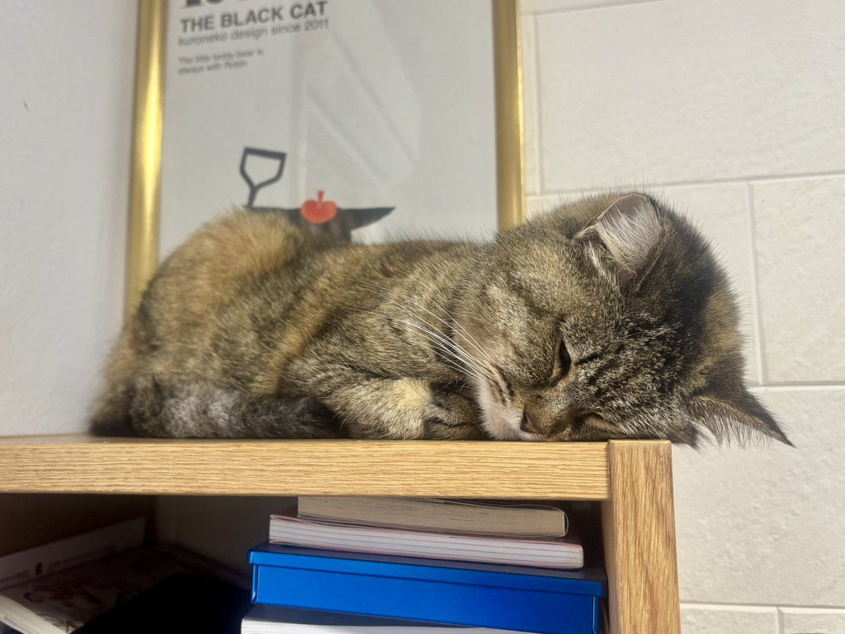 なんか嫌なことあった？