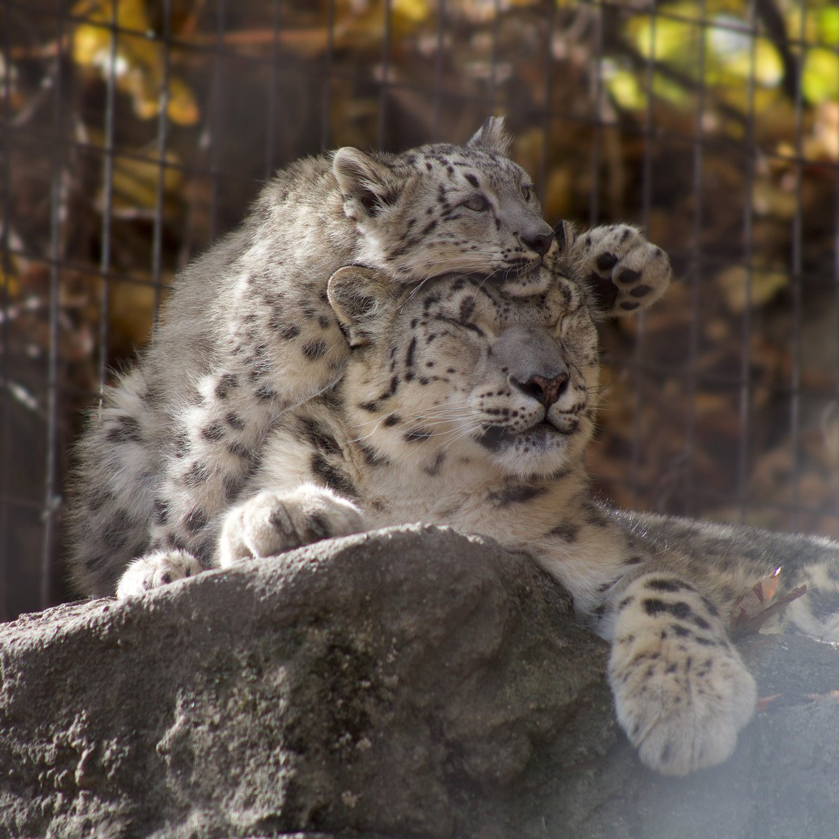 PEEMYNATION's tweet image. been doing a whole lot of nothing