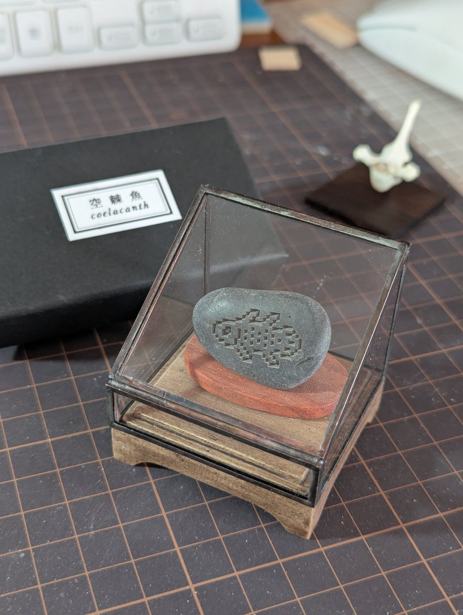 ほぼ新品】最終値下げ　アートドール　国内作家CAVALISA様製 ユウティラヌス CAVALISA/アートドール作家 (@to_aves) / Posts / X