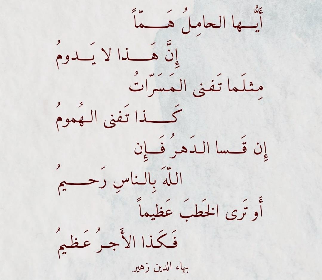 عماد الشريف tweet media