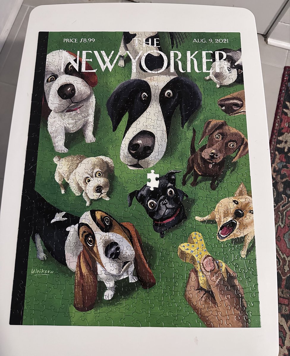 localghost13's tweet image. Right in the middle 😭😭😭