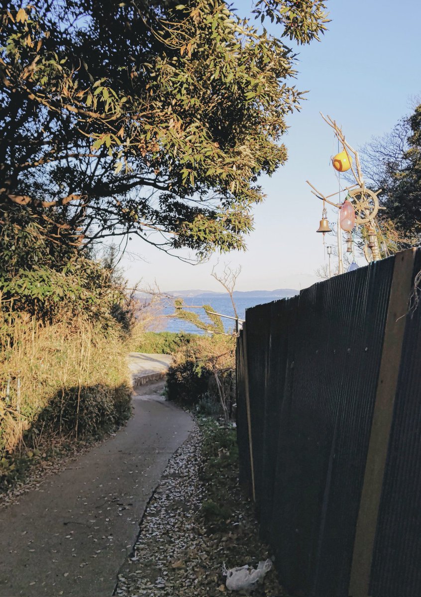 早乙女ボブ (@bob_saotome) on Twitter photo 