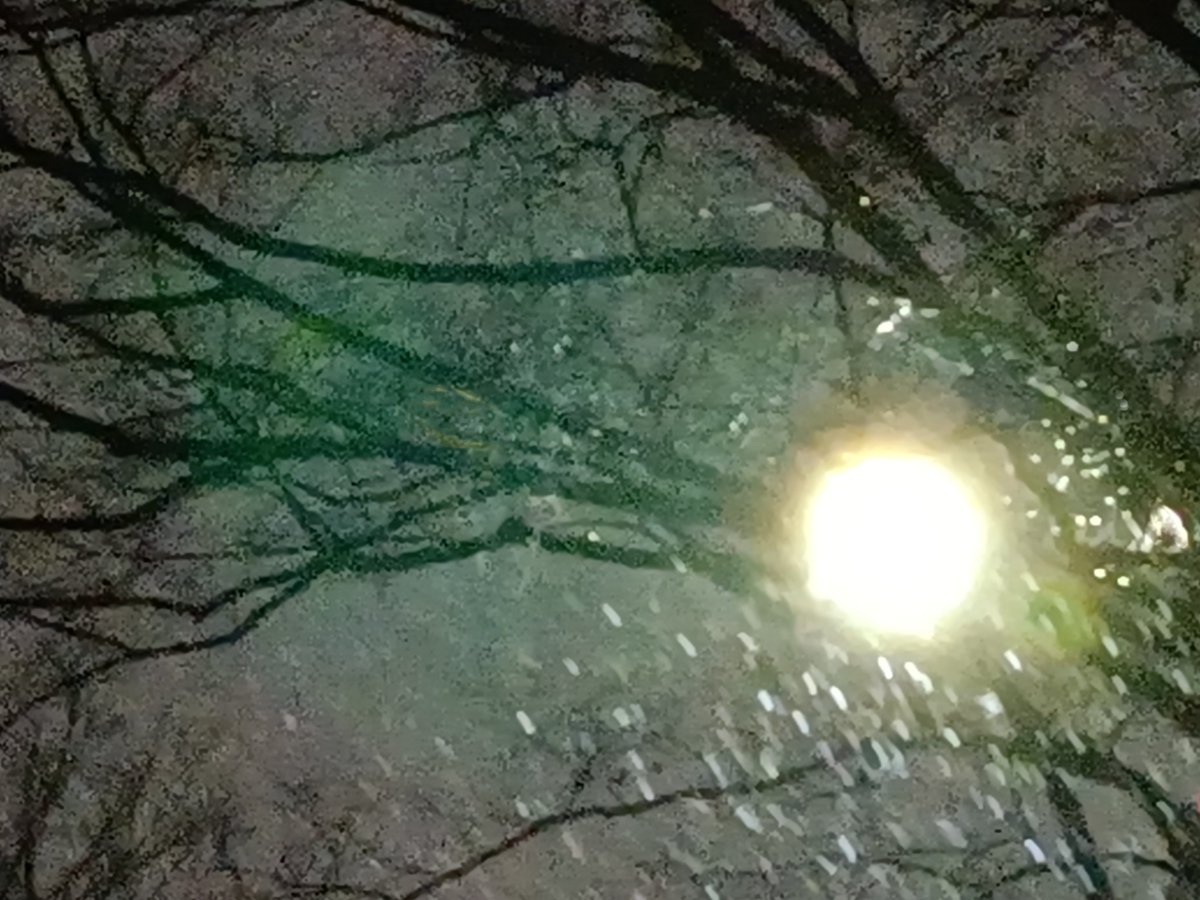 ねる会議 tweet media