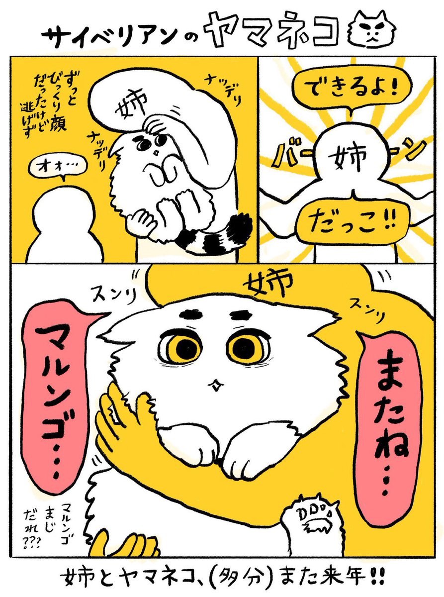 ヤマネコ (@ymnc_rf) / Posts / X