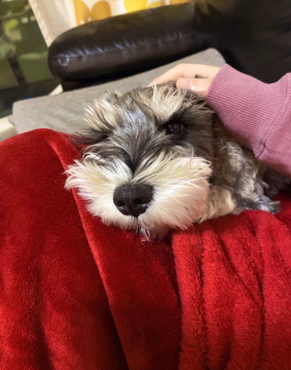 5歳おめでと🫶
長生きちてね🐶 