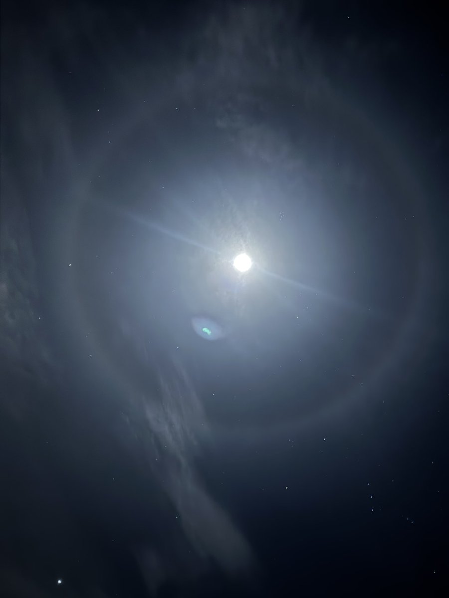 ⛓️Babe⛓️ tweet media