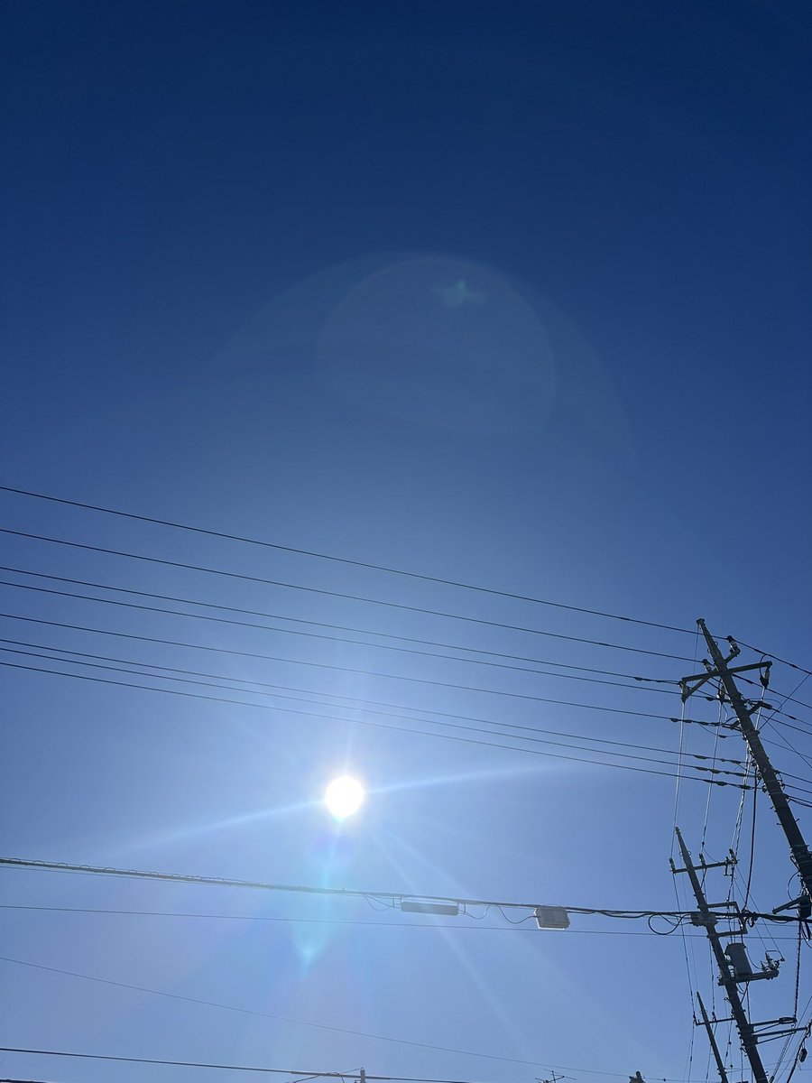 narizo46's tweet photo. 穏やかなお正月🎍
日向ならロンT１枚でも大丈夫なくらいの温かさ☀️
箱根駅伝で籠ってるからCMのたびに日向ぼっこしてビタミンDの生成に努めます🤗 https://t.co/5NghJNhajm