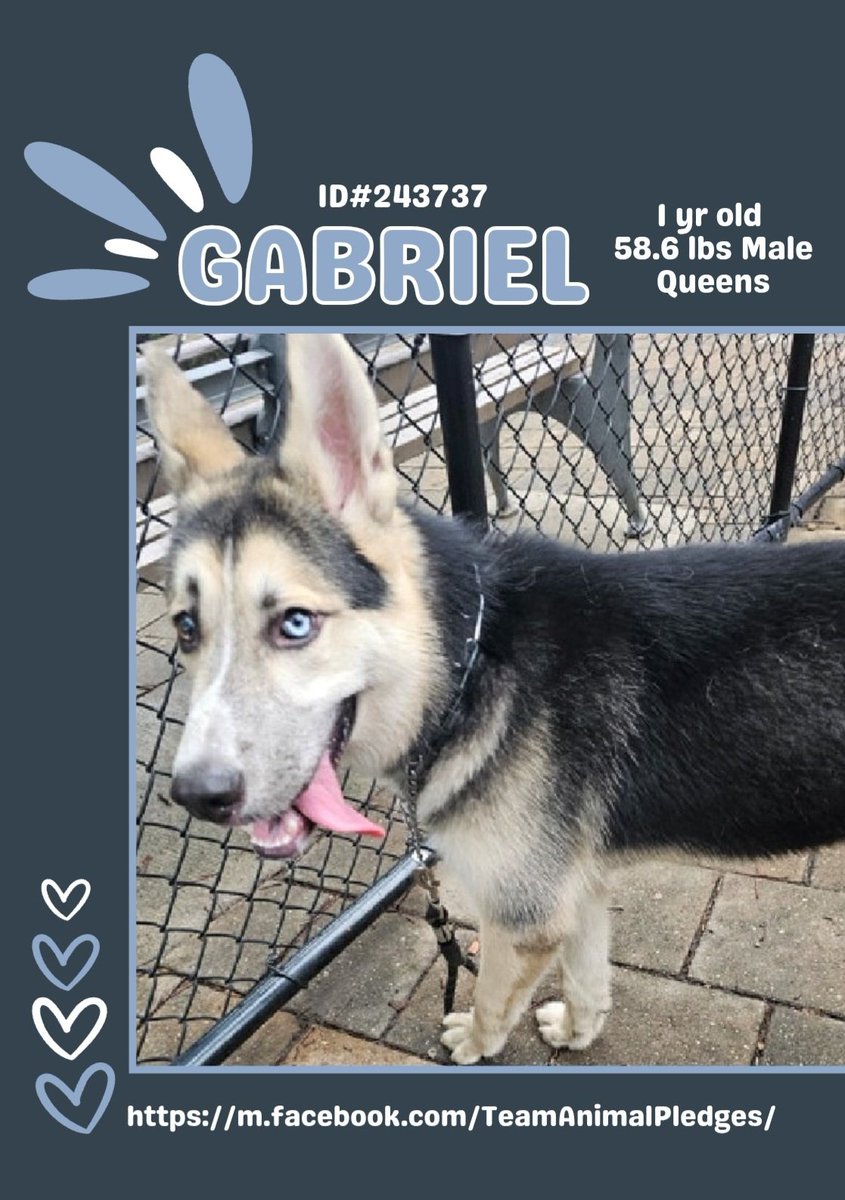 Char Bolen tweet media