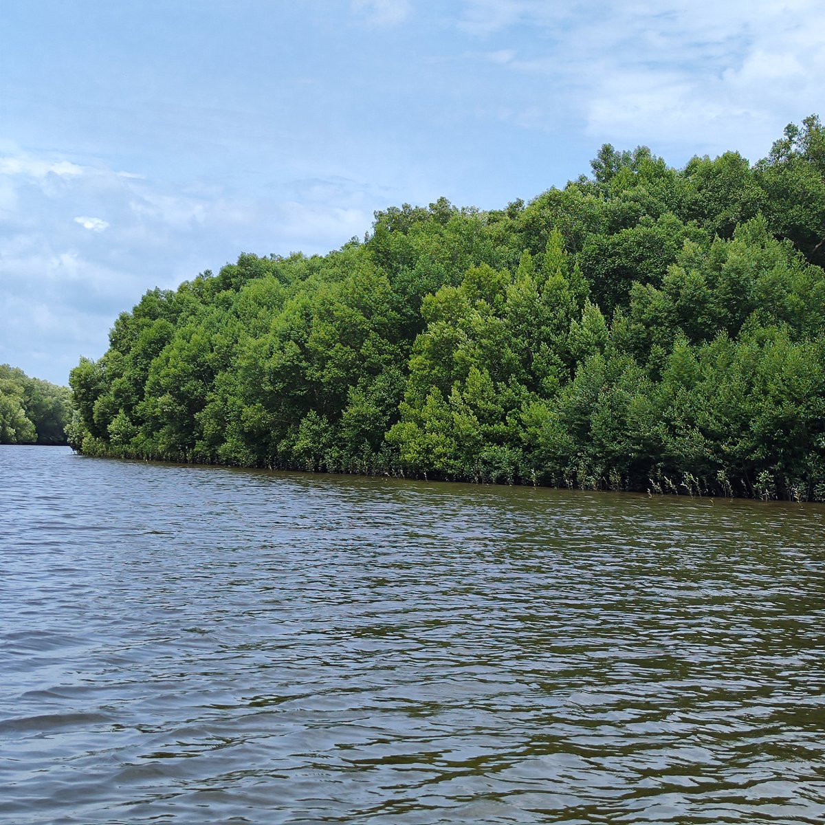 Peter Martey Addo tweet media