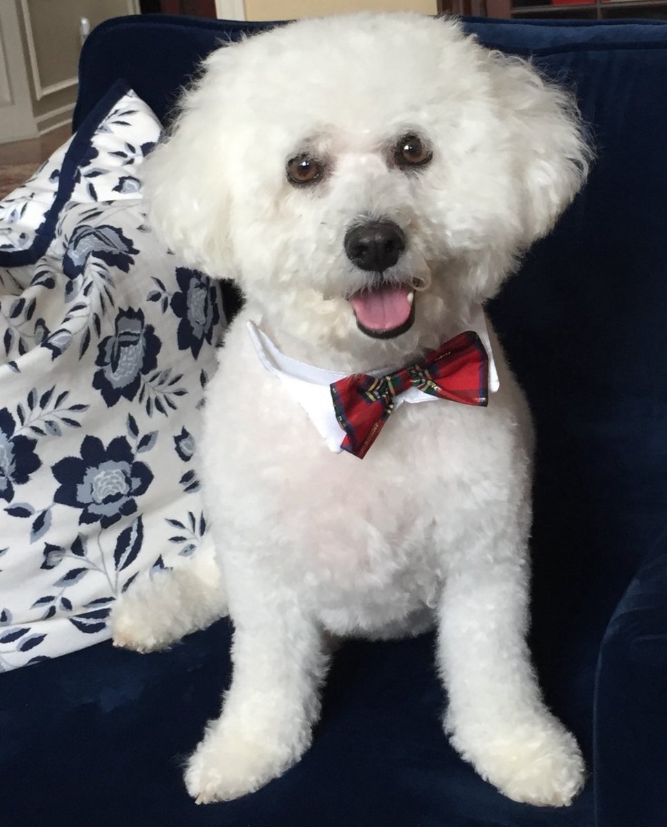 Andy Dunlap tweet media