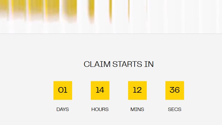 October✨ tweet media