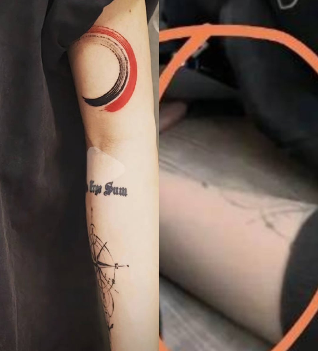 燦爛笑容的向日葵女孩: 科普圖畫書《骨頭》的閱讀與探索之旅, image size:1080x1191