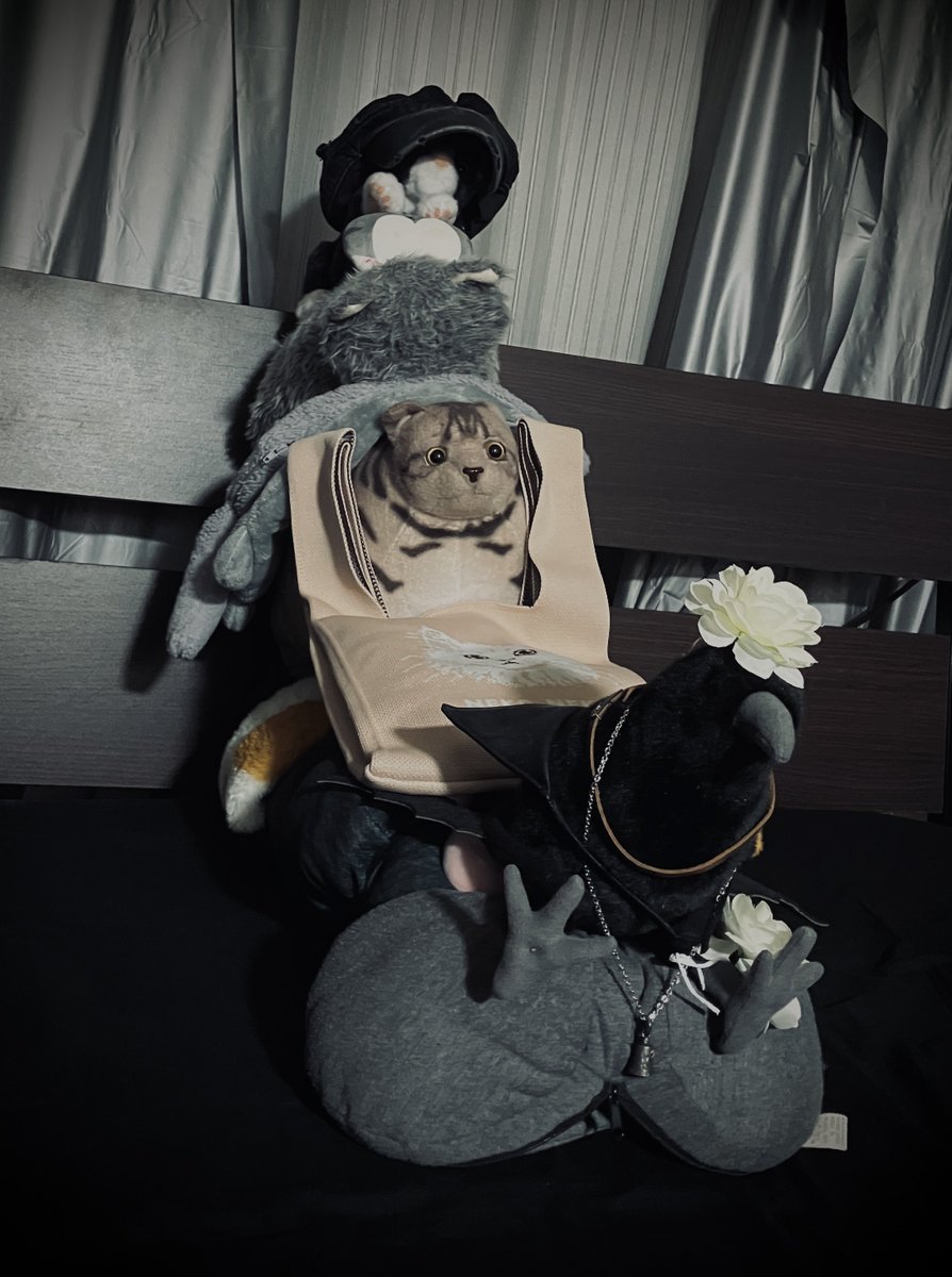 DJ ねこちぃねこちぃ a.k.a 廃店長 (@H_a_I_t_e_N) / Posts / X