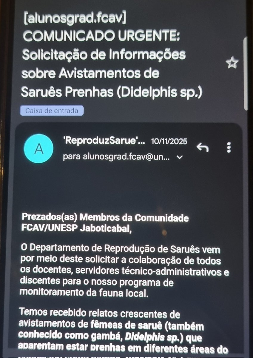 06Vidotti's tweet image. Tava conversando com um amigo e ele mostrou o auge da criatividade universitária

Imagina se usassem isso pra algo útil
