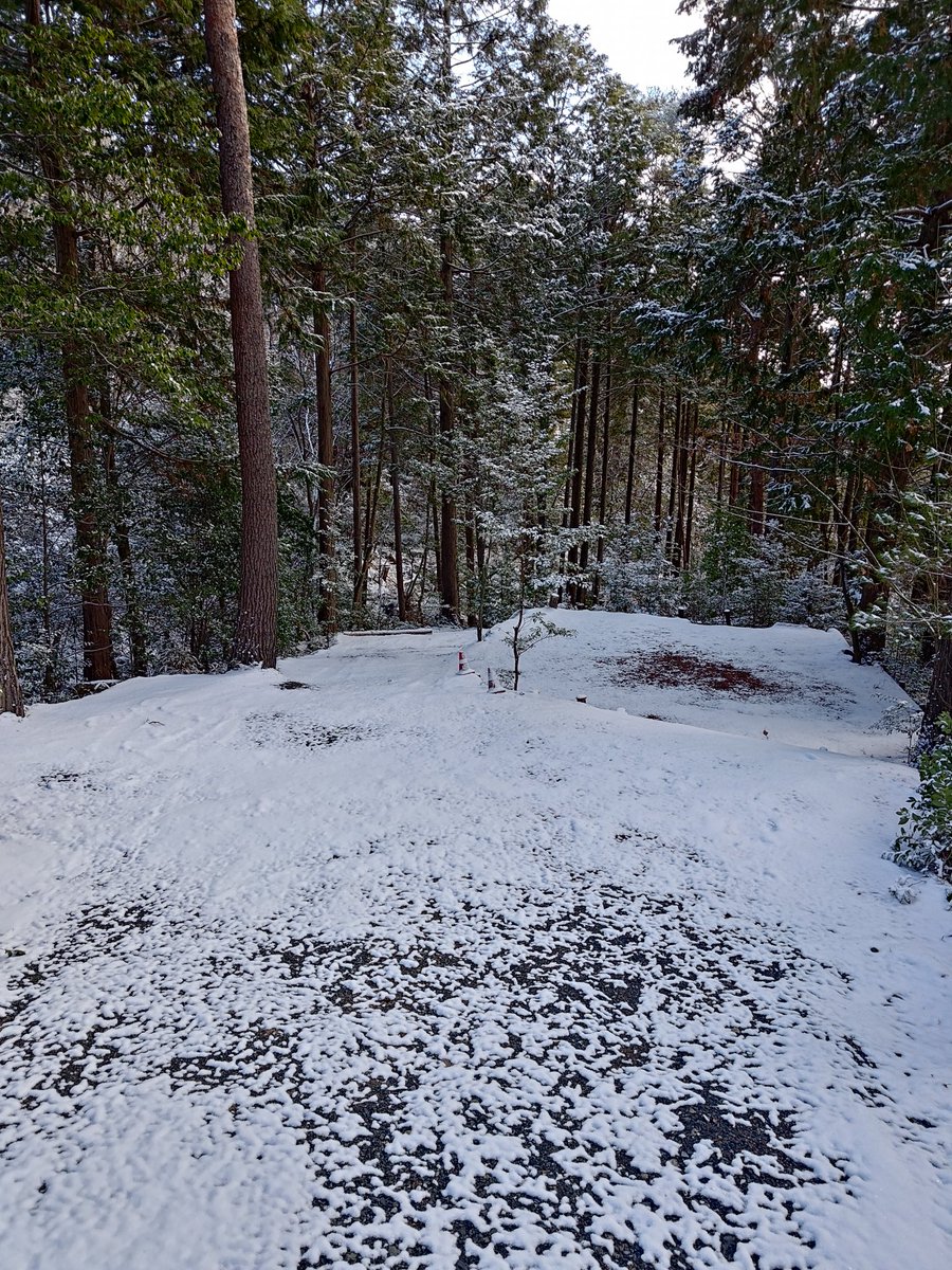 今日は寒くなりそうだ
