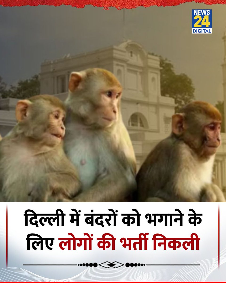 Mast Job he jis ko bhi apply karna he jaldi kare