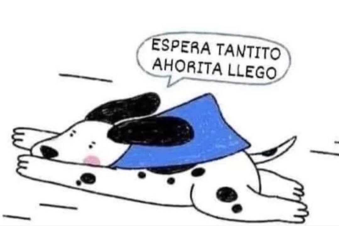 Mi perrito salvándome de la depresión