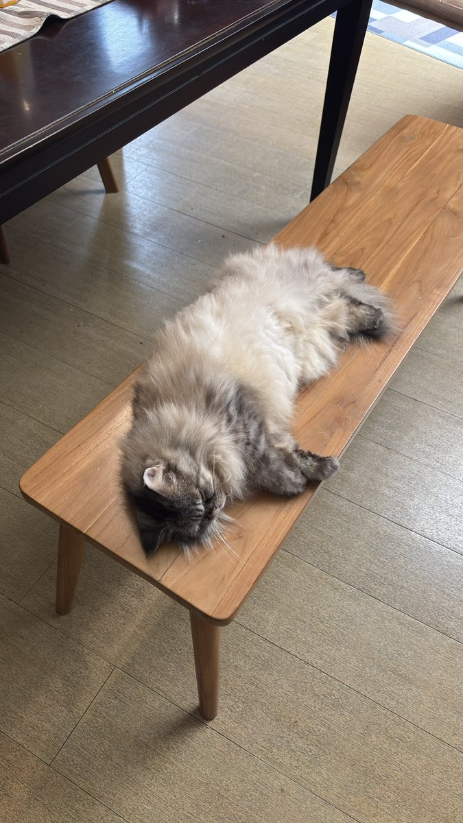 Cuacanya mendukung untuk aktivitas ini.