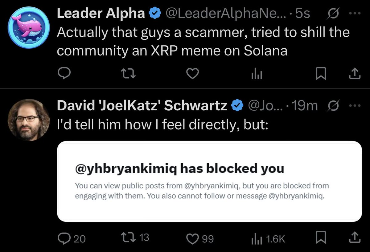 🚨 BREAKING: The newest grifter of the XRPCommunity blocked <a href="/JoelKatz/">David 'JoelKatz' Schwartz</a> after trying to shill everyone his XRP meme on #Solana 😭