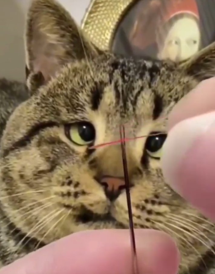 ちょっと寄り目が…