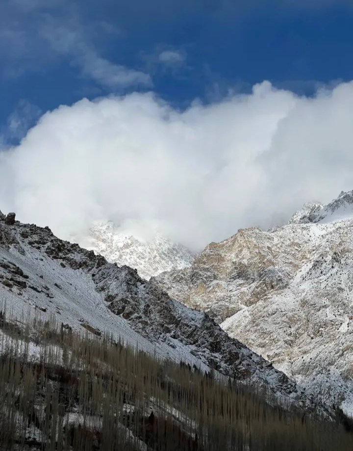 MananHnz's tweet image. It is not your job to detox toxic people. It is your job to detox the part of you that resonates with their toxicity.

( KHYBER upper #HUNZA GilgitBaltistan)